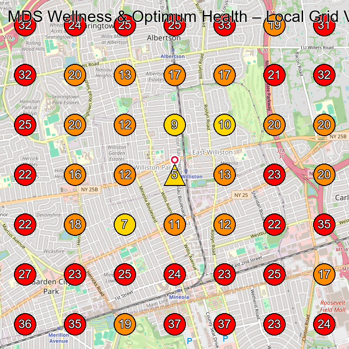 MDS Wellness & Optimum Health GeoGrid visibility map for Plastic Surgery Clinic in Mineola